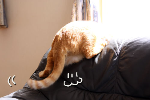 ほっ、とする。_d0355333_11004557.jpg