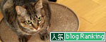 お顔の腫れは_d0355333_11004674.jpg