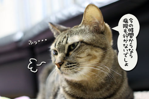 あすかちゃんの作戦_d0355333_11005651.jpg