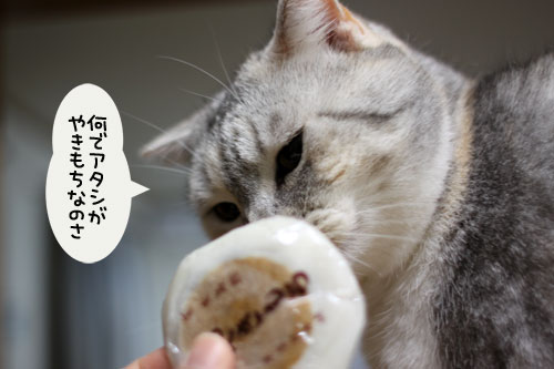 京都のやきもち_d0355333_11005756.jpg