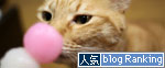 京都のやきもち_d0355333_11005859.jpg