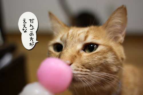 京都のやきもち_d0355333_11005864.jpg