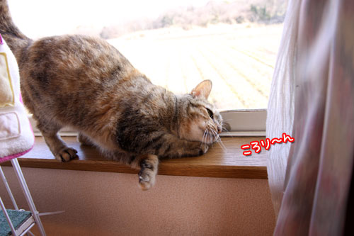 ガン飛ばしと来たら_d0355333_11010277.jpg