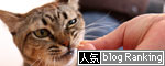 シャッターチャンスはおやつタイム_d0355333_11010975.jpg