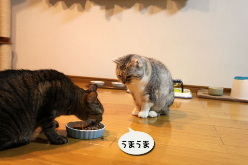 開けたてカリカリの誘惑_d0355333_11011264.jpg