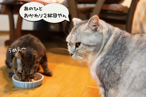 開けたてカリカリの誘惑_d0355333_11011465.jpg