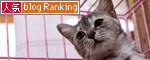 行政収容猫訪問_d0355333_11013624.jpg