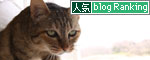 のびっと_d0355333_11013870.jpg