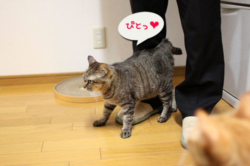 どんどん甘えん坊合戦_d0355333_11015709.jpg