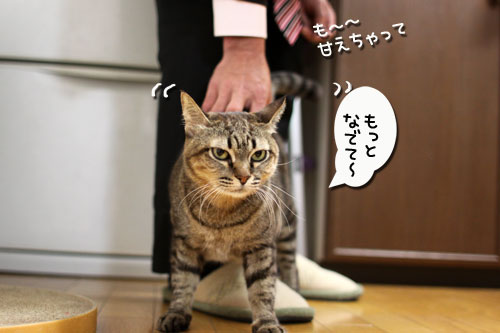 どんどん甘えん坊合戦_d0355333_11015718.jpg