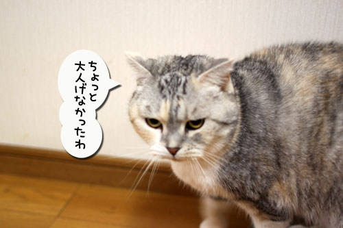 どんどん甘えん坊合戦_d0355333_11015812.jpg