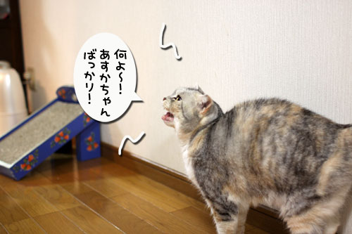 どんどん甘えん坊合戦_d0355333_11015881.jpg