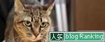 どんどん甘えん坊合戦_d0355333_11015894.jpg