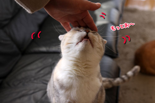 上手な甘え方は_d0355333_11020418.jpg