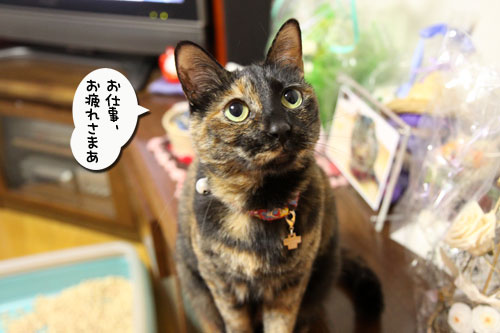 りさはセラピスト?_d0355333_11021032.jpg