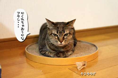 元気になあれマッサージ_d0355333_11021269.jpg
