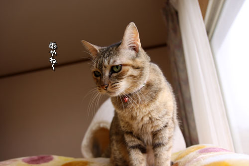 雨もふっとぶ笑顔_d0355333_11023407.jpg