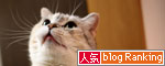 動画★おもちゃで遊ぼう_d0355333_11024204.jpg