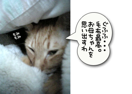 つい、寝坊しちゃうとき_d0355333_11024659.jpg