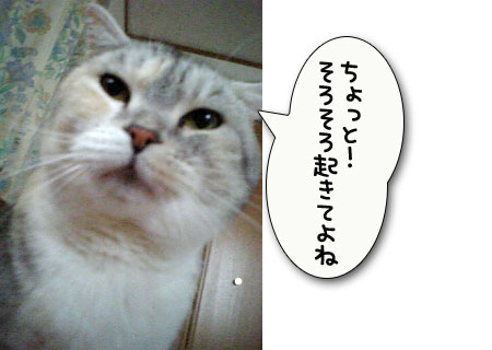 つい、寝坊しちゃうとき_d0355333_11024671.jpg