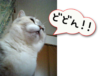 つい、寝坊しちゃうとき_d0355333_11024673.jpg