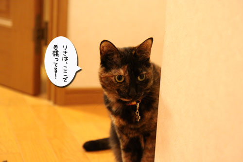 ちょっとずつでも進歩。_d0355333_11030163.jpg