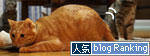 ちゃとらんのシェイプアップ作戦_d0355333_11030437.jpg