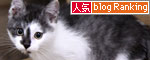 大阪行政訪問その2_d0355333_11031120.jpg