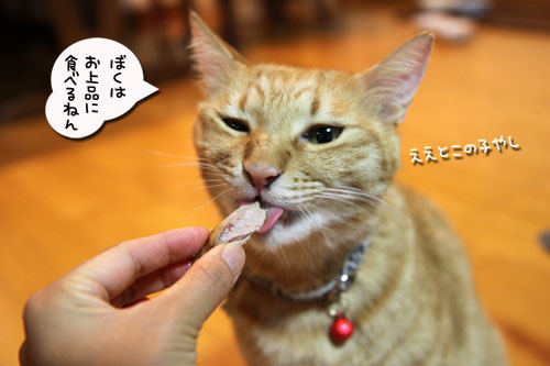 母の日ギフトは誰のもの?_d0355333_11032092.jpg