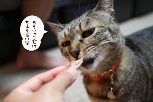 母の日ギフトは誰のもの?_d0355333_11032189.jpg