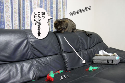 白鳥の湖の罠_d0355333_11032343.jpg