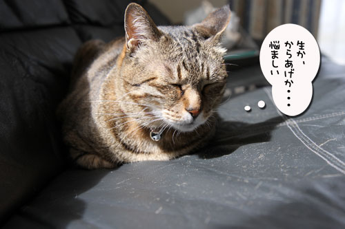 イケナイ想像_d0355333_11032787.jpg
