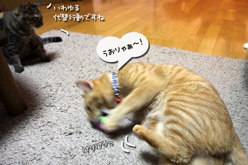 手が出る3秒前!_d0355333_11033240.jpg