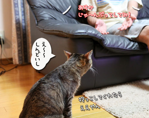 ひざ取りの秘策とは?_d0355333_11033307.jpg