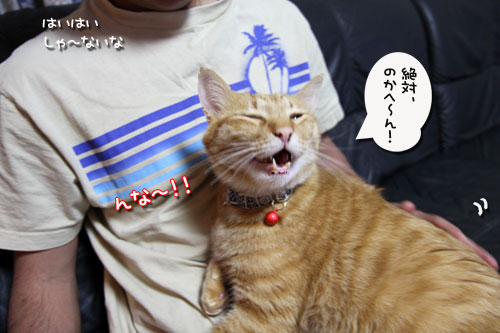 ひざ取りの秘策とは?_d0355333_11033441.jpg