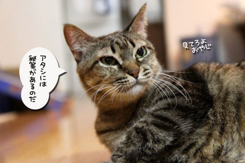 ひざ取りの秘策とは?_d0355333_11033510.jpg