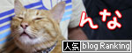 ひざ取りの秘策とは?_d0355333_11033522.jpg