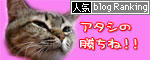 さて、軍配は・・・?_d0355333_11033768.jpg