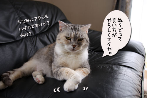 ヌードなちゃとらん_d0355333_11034403.jpg