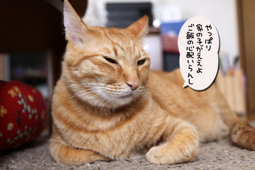 ヌードなちゃとらん_d0355333_11034574.jpg