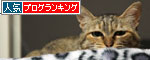 ヤキモチの行方_d0355333_11035073.jpg