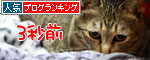 そこに猫がいるから_d0355333_11040734.jpg