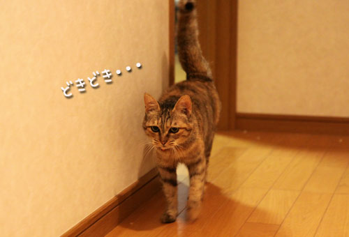 ほんとうの目的は?_d0355333_11041065.jpg