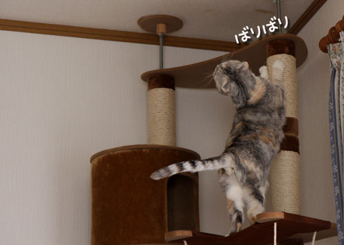 エライこっちゃの事件_d0355333_11042283.jpg