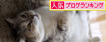 エライこっちゃの事件_d0355333_11042370.jpg
