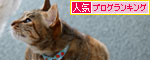 ベランダの守り神は?_d0355333_11043825.jpg