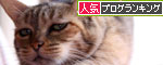 キャットニップで初対面!_d0355333_11044699.jpg