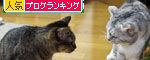 秘密基地から出てきたら_d0355333_11045138.jpg