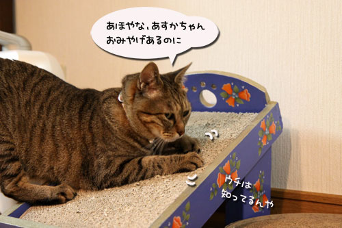 待っていたのは?_d0355333_11050316.jpg