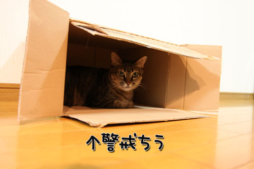 待っていたのは?_d0355333_11050323.jpg